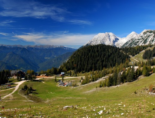 KRVAVEC – učenci od 2.-5. razreda